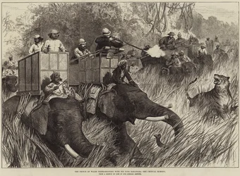 De Prins van Wales op tijgerjacht met Sir Jung Bahadoor, het kritieke moment