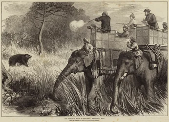 De Prins van Wales in de Terai, een beer schietend