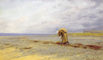 Zeewier verzamelen