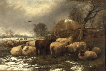 Schuilplaats