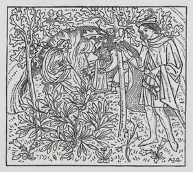 Hans Christian Andersen: De Tuin van het Paradijs