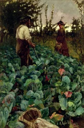 Kooltuin