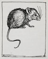 Een muis