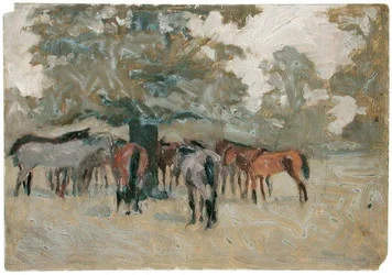 Paarden onder een boom