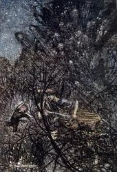 Illustratie voor De Droom van een Zomernacht door William Shakespeare