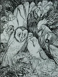 De Uil en de Vogels, illustratie uit 