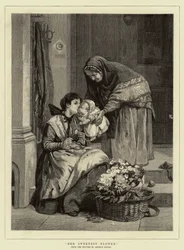 Haar Zoetste Bloem