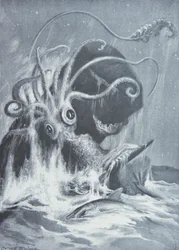 De Kraken vs. Potvissen