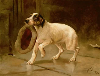 Meester