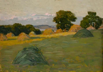 Het heuvelveld