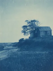 Wellfleet, Cape Cod,1904 (foto)