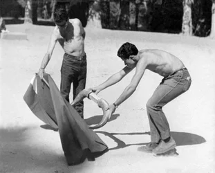 Stierenvechters leerlingen die elke ochtend trainen in de Casa de Campo in Madrid om de kunst van het stierenvechten te leren