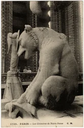 Waterspuwer of chimère van de kathedraal Notre Dame de Paris, gebouwd tussen 1163 en de 14e eeuw - Ansichtkaart, Selva collectie