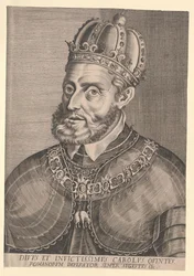 Heilige Roomse Keizer Karel