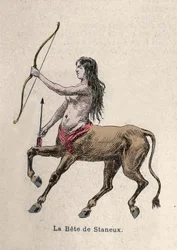 Afbeelding van de Bete of Staneux Illustratie