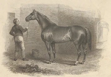 Amerikaanse zonsverduistering, 1824