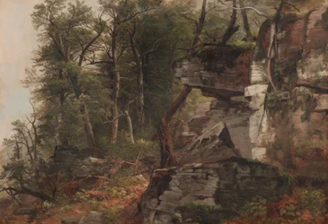 Bomen op een rotsachtige helling