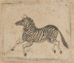 Bankbiljet vignette met een zebra, ca. 1824-37