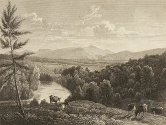 Catskill Bergen