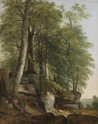 Landschap met rotsen en bomen
