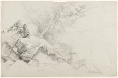 Studie van rotsen met bomen, Den Haag, Lake George, New York, 1862 (grafiet op grijs papier)
