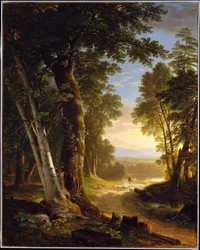 De beuken