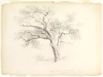 De kastanje-eik op het Hosack-landgoed, Hyde Park, New York met vijf figuren en een kunstenaar die schetst, 1838