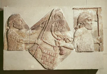 Fragment van een reliëf met Medische tributaries