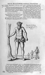 Zondvloedreuzen, 1678