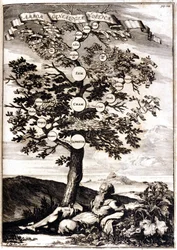 Stamboom van Noach naar: Athanasius Kircher, Turris Babel, Rome 1675 Milaan