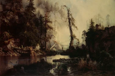 Zwart meer