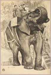 Olifant met ruiters