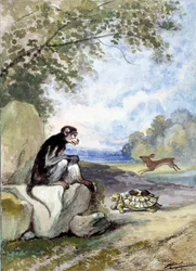 Illustratie van de fabel De haas en de schildpad door Jean de La Fontaine