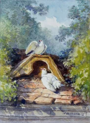De twee aquarelduiven van Auguste Delierre voor de fabel van Jean de la Fontaine