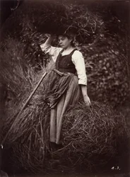 Boer