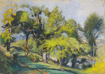 Kastanjebomen boven een rivier