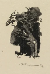Bos van Fontainebleau: De woedende, 1890