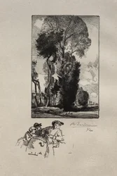 Het bos