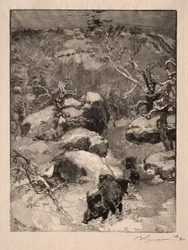 Roche Cuvier Chatillon, 1887