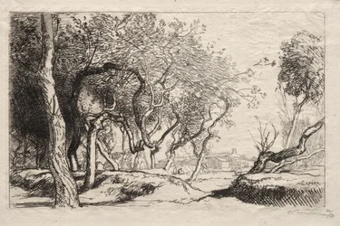 De Gedraaide Boom, 1915