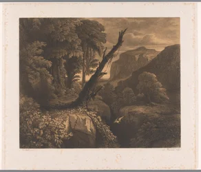 Berglandschap met vogel vliegend door een ravijn