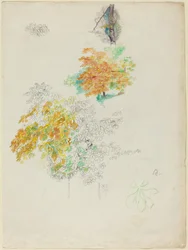 Studies van bomen