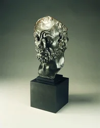 Man met de gebroken neus, 1864