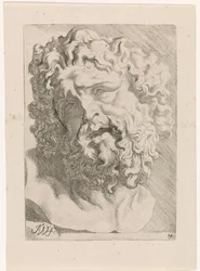 Hoofd van Laocoön