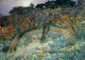 olijfgaard, door Augusto Corelli (1853-1910)