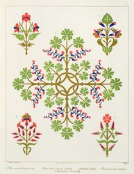 Rozenmotief behangontwerp, gedrukt door M. und N. Hanhart