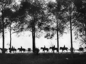 Een silhouet van Australische artillerie limbers geladen met munitie die langs de Ypres Road rijden, 25 september 1917