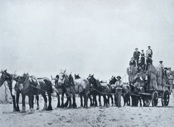 Woltransportteam, West-Australië, c.1900, uit 