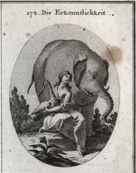 Allegorie van dankbaarheid. Haar symbolen zijn de ooievaar, omdat zij haar vader op zijn oude dag dezelfde dienst bewijst die zij in haar jeugd ontving, en de olifant, omdat hij, zeer dankbaar, zijn leven onbevreesd kan wagen door voor zijn meester te
