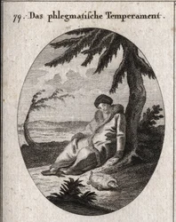 Allegorie van flegmatische teint. De schildpad is het attribuut van zijn traagheid. Gravure in 